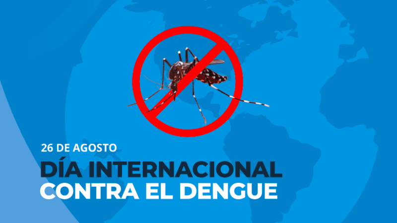 Día Internacional Contra El Dengue Como Podemos Prevenirlo